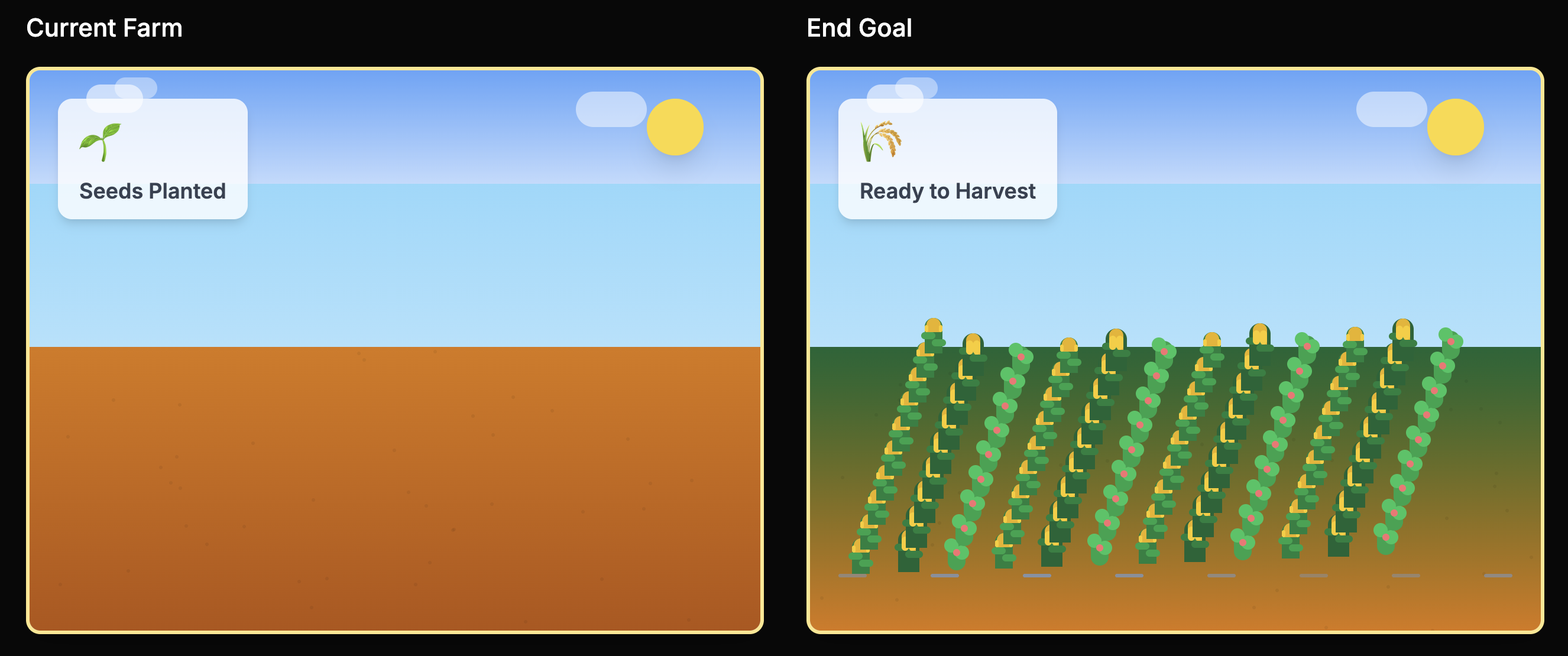 The Farm You Grow